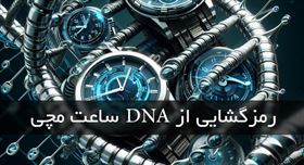 هر ساعت، یک داستان: کشف DNA پنهان در قلب ساعت مچی ها