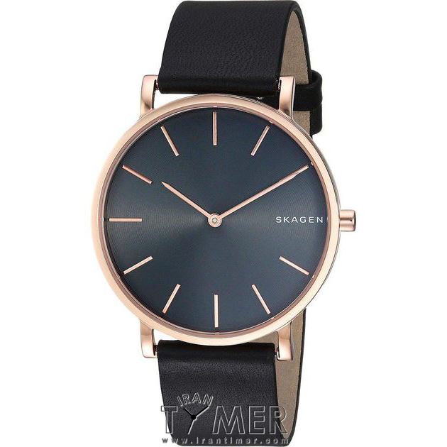 Skagen skw6447 sale