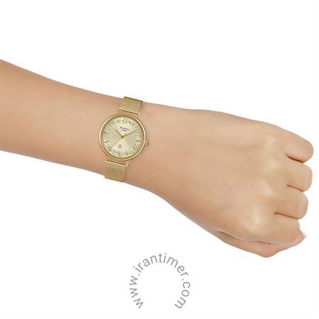 قیمت و خرید ساعت مچی زنانه کاسیو (CASIO) شین مدل SHE-4539FGM-9AUDF کلاسیک | اورجینال و اصلی