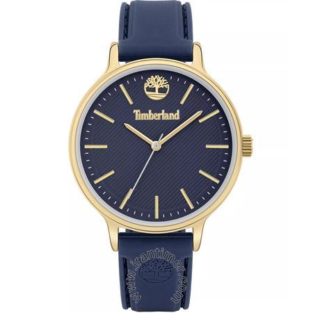 قیمت و خرید ساعت مچی زنانه تیمبرلند(TIMBERLAND) مدل TBL15956MYG-03P اسپرت | اورجینال و اصلی