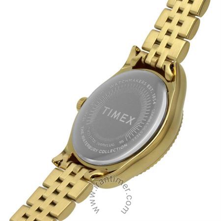 قیمت و خرید ساعت مچی زنانه تایمکس(TIMEX) مدل TW2V31700 کلاسیک | اورجینال و اصلی