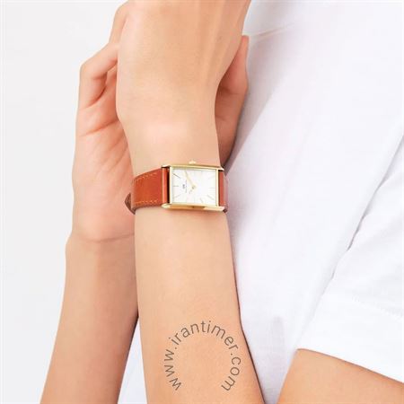 قیمت و خرید ساعت مچی زنانه دنیل ولینگتون(DANIEL WELLINGTON) مدل DW00100696 کلاسیک | اورجینال و اصلی