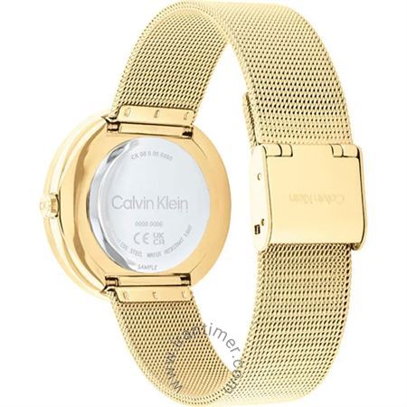 قیمت و خرید ساعت مچی زنانه کالوین کلاین(CALVIN KLEIN) مدل 25200150 فشن | اورجینال و اصلی