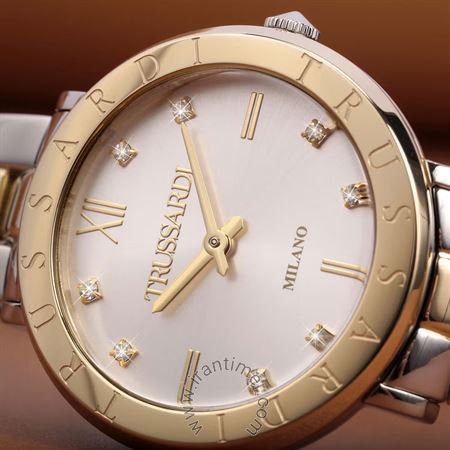 قیمت و خرید ساعت مچی زنانه تروساردی(TRUSSARDI) مدل R2453115510 کلاسیک فشن | اورجینال و اصلی