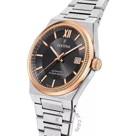 قیمت و خرید ساعت مچی مردانه فستینا(FESTINA) مدل F20036/3 کلاسیک | اورجینال و اصلی