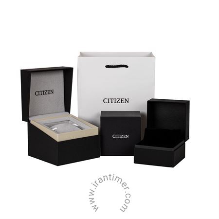 قیمت و خرید ساعت مچی مردانه سیتیزن(CITIZEN) مدل NH8365-86M | اورجینال و اصلی