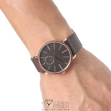 Skagen skw6213 shop