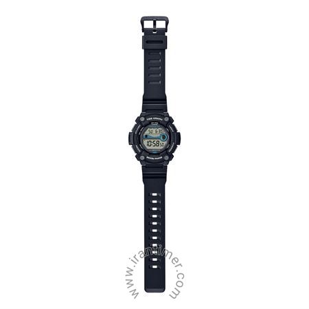 قیمت و خرید ساعت مچی مردانه کاسیو (CASIO) جنرال مدل WS-1300H-1AVDF اسپرت | اورجینال و اصلی