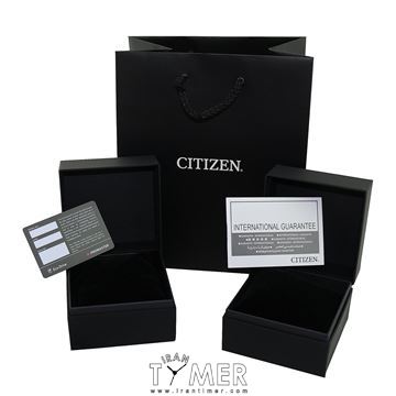 قیمت و خرید ساعت مچی زنانه سیتیزن(CITIZEN) مدل EU6084-57A کلاسیک | اورجینال و اصلی