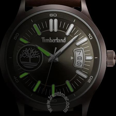 قیمت و خرید ساعت مچی مردانه تیمبرلند(TIMBERLAND) مدل TDWGB0041004 کلاسیک | اورجینال و اصلی