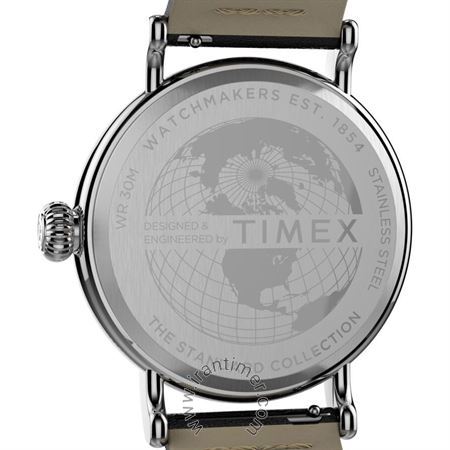 قیمت و خرید ساعت مچی مردانه تایمکس(TIMEX) مدل TW2T69200VN کلاسیک | اورجینال و اصلی