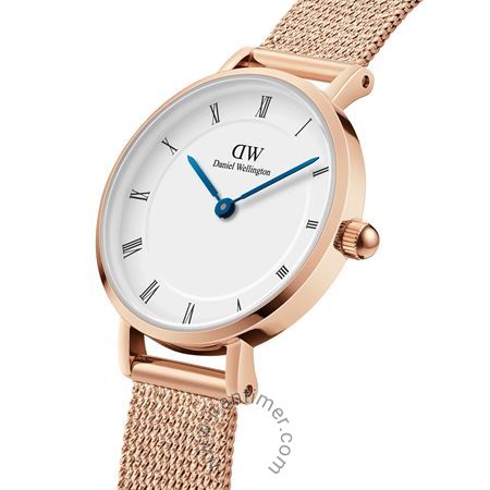 قیمت و خرید ساعت مچی زنانه دنیل ولینگتون(DANIEL WELLINGTON) مدل DW00100681 کلاسیک | اورجینال و اصلی