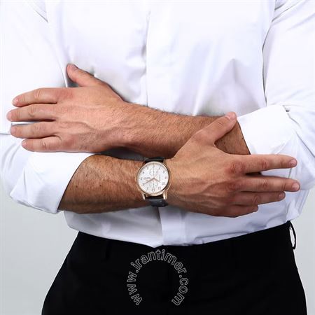 قیمت و خرید ساعت مچی مردانه لوسین روشا(Lucien Rochat) مدل R0471616001 کلاسیک | اورجینال و اصلی