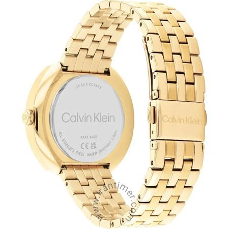 قیمت و خرید ساعت مچی زنانه کالوین کلاین(CALVIN KLEIN) مدل 25200336 کلاسیک | اورجینال و اصلی