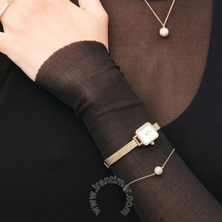 قیمت و خرید ساعت مچی زنانه دنیل ولینگتون(DANIEL WELLINGTON) مدل DW00100730 فشن | اورجینال و اصلی