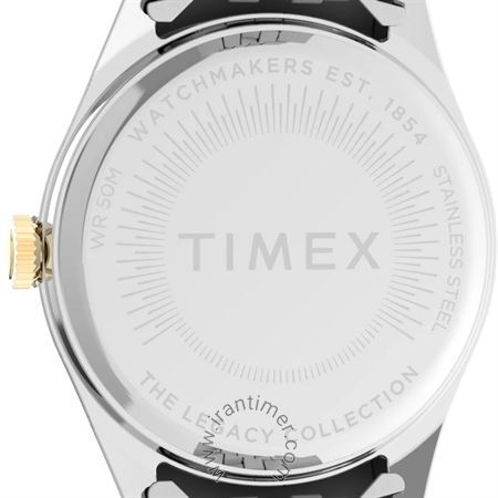 قیمت و خرید ساعت مچی زنانه تایمکس(TIMEX) مدل TW2W32100 کلاسیک | اورجینال و اصلی