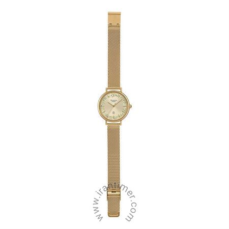 قیمت و خرید ساعت مچی زنانه کاسیو (CASIO) شین مدل SHE-4539FGM-9AUDF کلاسیک | اورجینال و اصلی