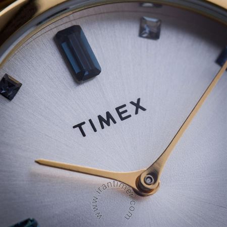 قیمت و خرید ساعت مچی زنانه تایمکس(TIMEX) مدل TW2U86900 کلاسیک فشن | اورجینال و اصلی