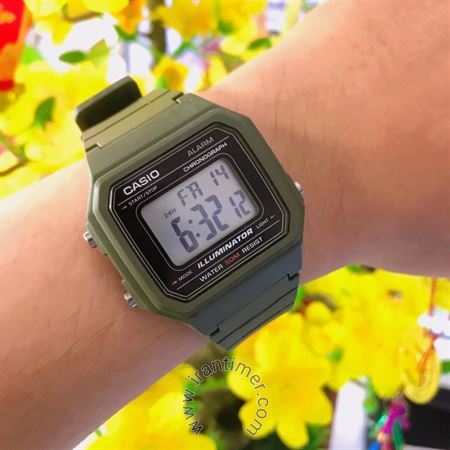 قیمت و خرید ساعت مچی مردانه کاسیو (CASIO) جنرال مدل W-217H-3AVDF اسپرت | اورجینال و اصلی