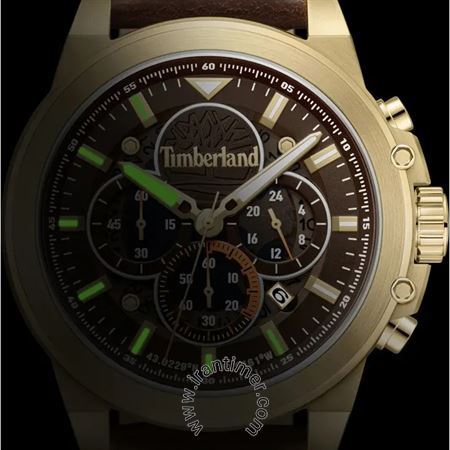 قیمت و خرید ساعت مچی مردانه تیمبرلند(TIMBERLAND) مدل TDWGB0056002 اسپرت | اورجینال و اصلی