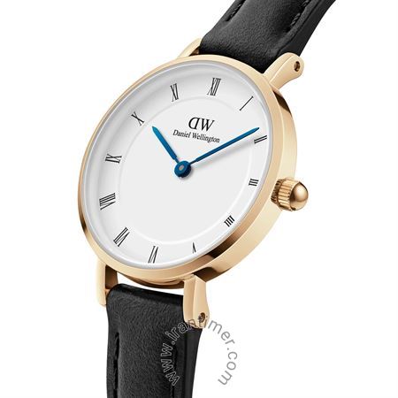 قیمت و خرید ساعت مچی زنانه دنیل ولینگتون(DANIEL WELLINGTON) مدل DW00100686 کلاسیک | اورجینال و اصلی