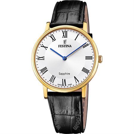 قیمت و خرید ساعت مچی مردانه فستینا(FESTINA) مدل F20016/4 کلاسیک | اورجینال و اصلی