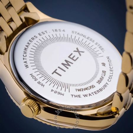 قیمت و خرید ساعت مچی زنانه تایمکس(TIMEX) مدل TW2V45700 کلاسیک فشن | اورجینال و اصلی