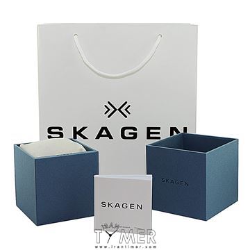 قیمت و خرید ساعت مچی مردانه اسکاگن(SKAGEN) مدل SKW6366 کلاسیک | اورجینال و اصلی