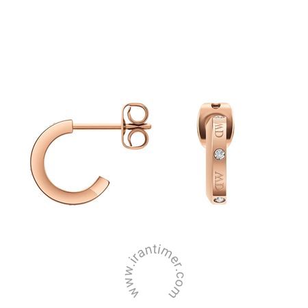 قیمت و خرید گوشواره زنانه دنیل ولینگتون(DANIEL WELLINGTON) مدل DW00400349 فشن (ست لباس) کلاسیک | اورجینال و اصلی