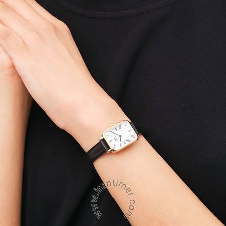 قیمت و خرید ساعت مچی زنانه دنیل ولینگتون(DANIEL WELLINGTON) مدل DW00100689 کلاسیک | اورجینال و اصلی