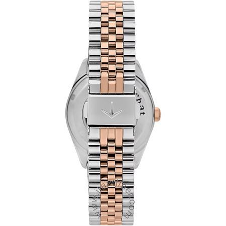 قیمت و خرید ساعت مچی زنانه لوسین روشا(Lucien Rochat) مدل R0423114501 کلاسیک | اورجینال و اصلی