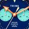 ساعت مچی مردانه تریوا(TRIWA) مدل TFO302-CL150712
