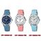 ساعت مچی زنانه کاسیو (CASIO) جنرال مدل LTP-1390LB-7B2DF